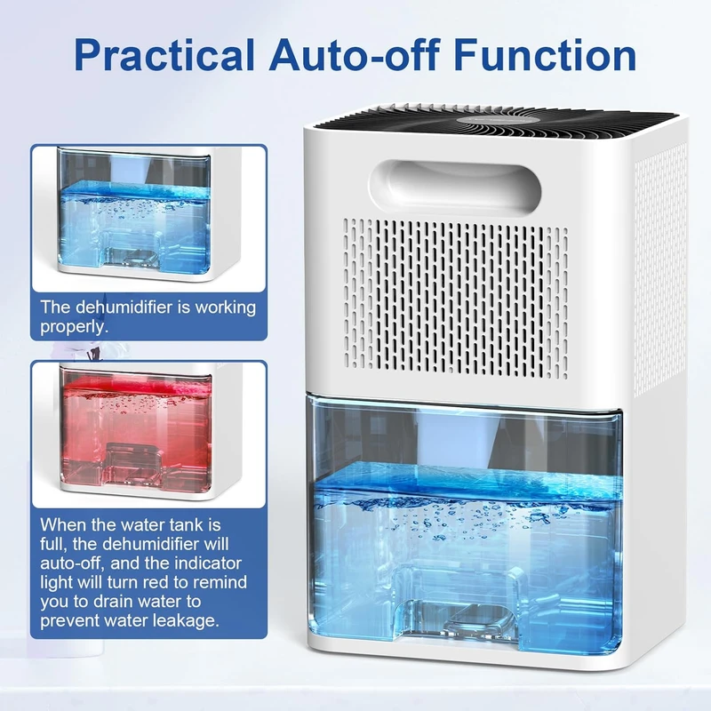 161032c0374a01cd9a587760486436979961e991_1726688353